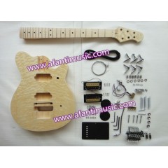 Oip Style Electric Guitar Kit /DIY Electric Guitar Kit (AOIP-032)图1