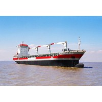 902teu+7960t Mpp (container ship/bulk carrier) for Sale