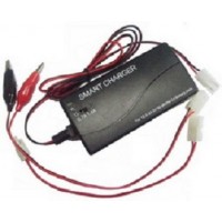 12V-24V 0.7A&1.4Adual output Romote Control toy NIMH charger