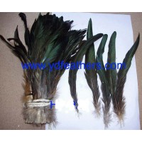 Black rooster tail /cocktail Feathers From China