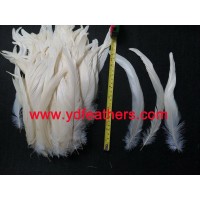 Bleached black rooster tail/ cocktail for wholesale