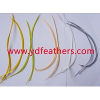 High Quality Stripped Goose Biots for wholesale