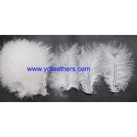 High Quality Parried Marabou Turkey Feather for Wholesale