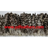 High quality chinchilla Rooster tail for wholesale