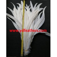 16" up Bleached black rooster tail/ cocktail for wholesale