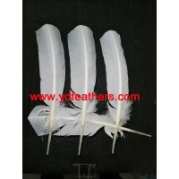 High quality turkey plume feather for wholesale