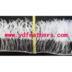 Partially Burnt Ostrich Feather Fringe Sewn On Cord图3