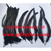 Dyed Black Rooster Tail/Cocktail Feathers for wholesale