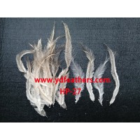 High Quality EMU(Australia ostrich ) for Wholesale