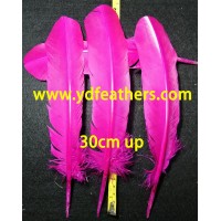 Pink Turkey Rounds Quill Feathers