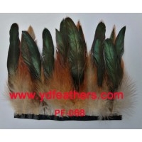 Frange de plumes de queue de coq demi-bronze pour v