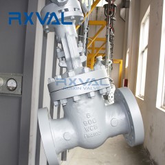 WCB Flanged Gate Valve图4